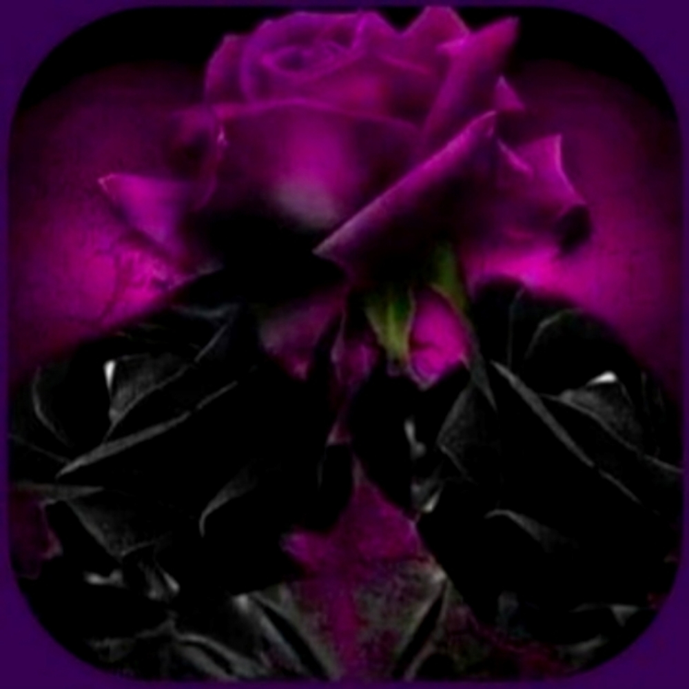 Meet your Posher, Rona